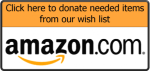 Amazon Wish List link
