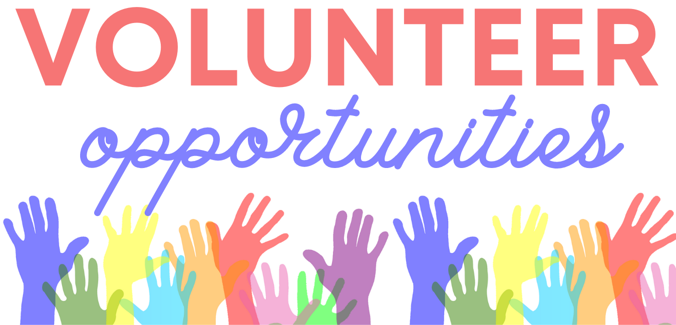 volunteer opportunity image 