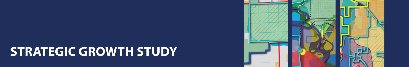 strategic growth study website banner(1)