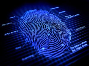 fingerprint