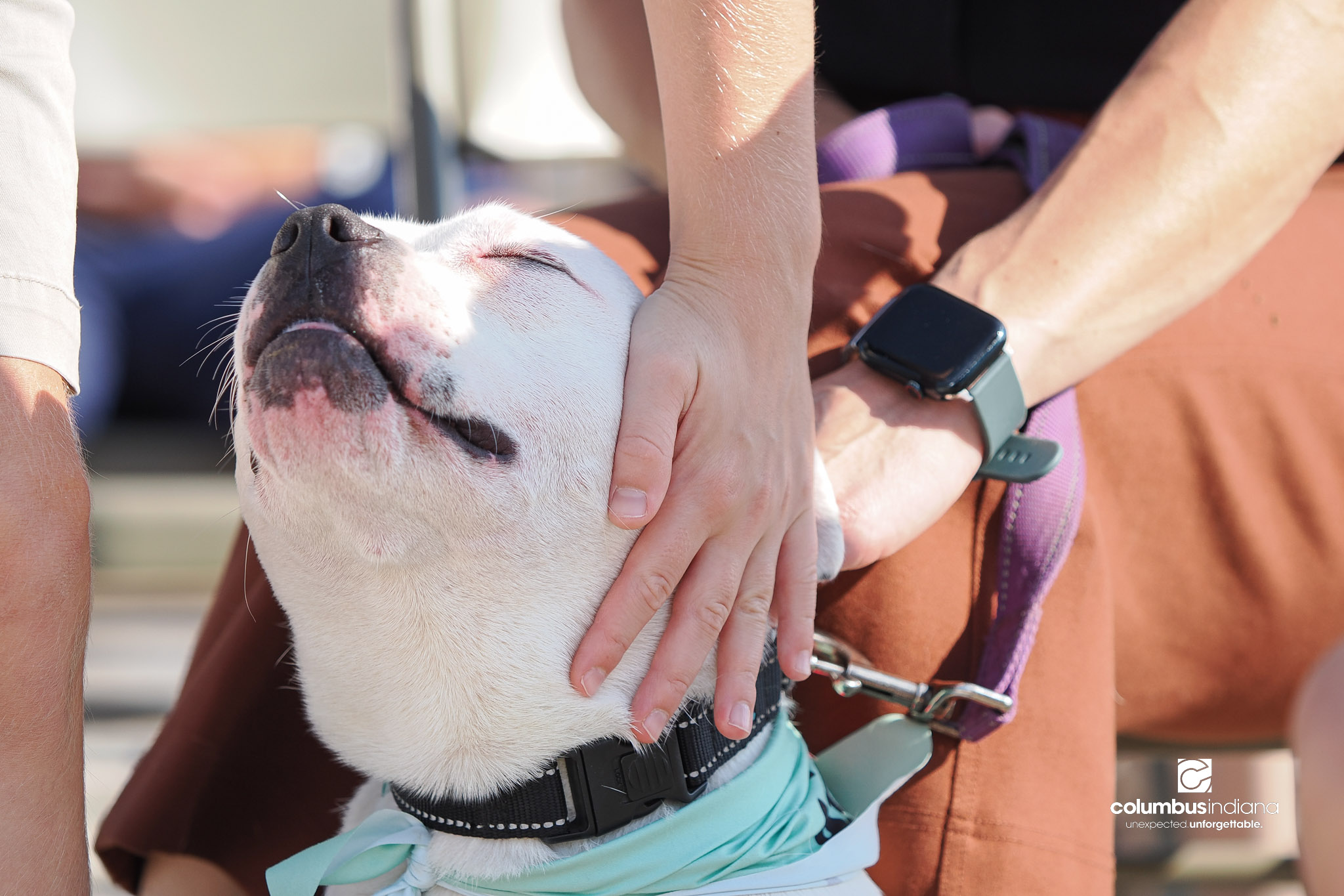 These photos show the celebration and groundbreaking for the new Columbus Animal Care facility named the Wendy H. Elwood Animal Care Services Center in Columbus, Indiana.