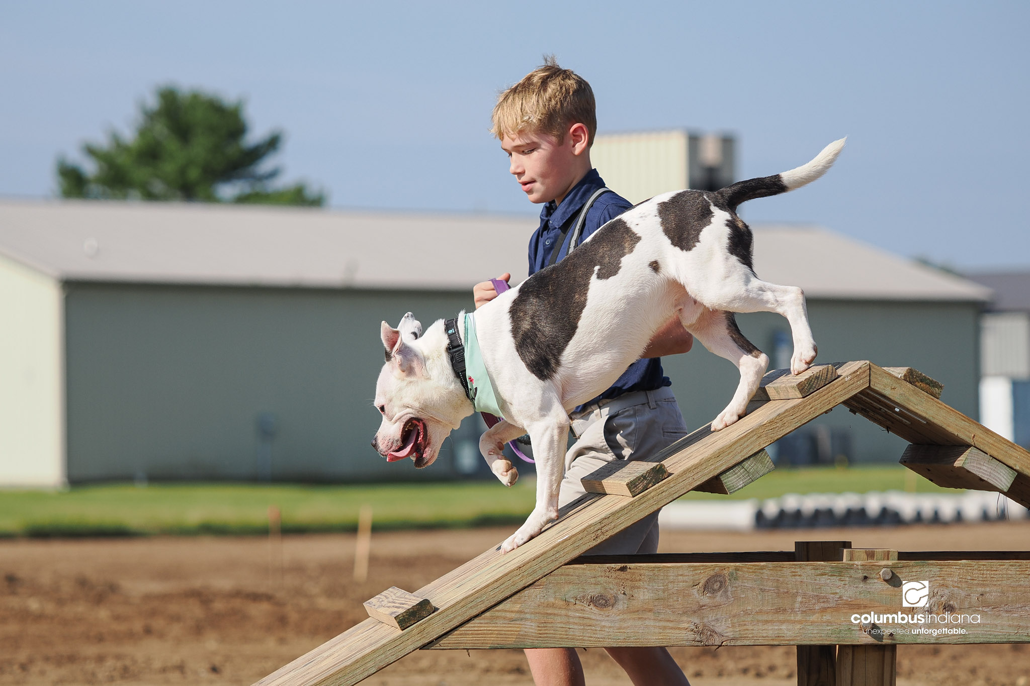 These photos show the celebration and groundbreaking for the new Columbus Animal Care facility named the Wendy H. Elwood Animal Care Services Center in Columbus, Indiana.