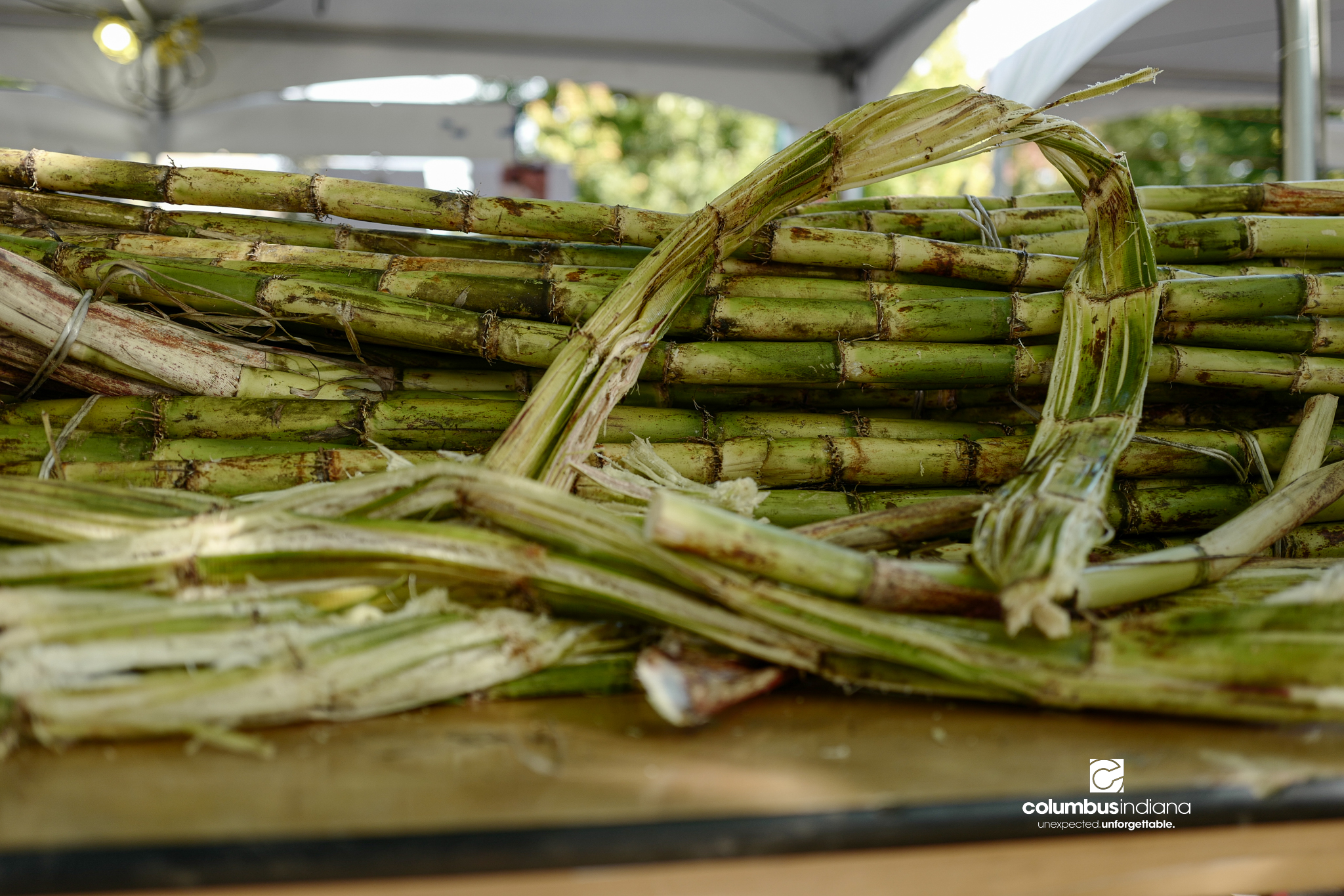 Various images of the sights of Ethnic Expo in Columbus, Indiana. The photos show food, people of different ethnicities and performances as well tents and other spaces vendors are using.